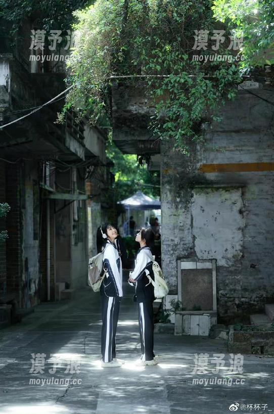 走，718.sx直达“如梦般”的追击案，绝对烧脑。