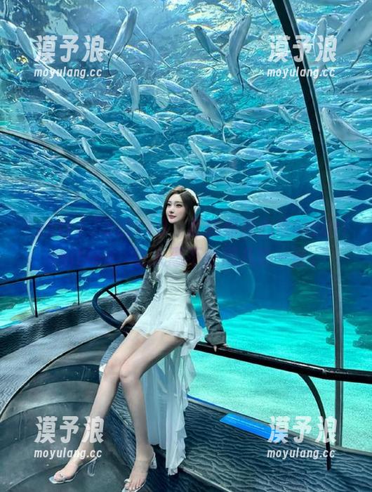“zztt10”直达你我心底的curiosities，让人忍不住想八卦一番。