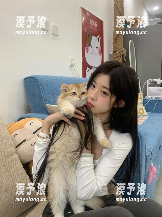ios新版本，黑料91又带来了哪些新剧？